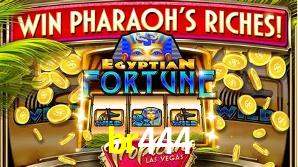 Jogos de mesa e apostas rápidas na br444